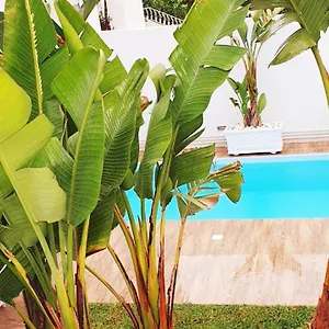  Villa Maison Plain-pied Avec Piscine Chauffée